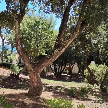 T3 - Les Parcs Du Soleil - Les Mimosas - Piscines - 15 Min - Classement 3 Etoiles